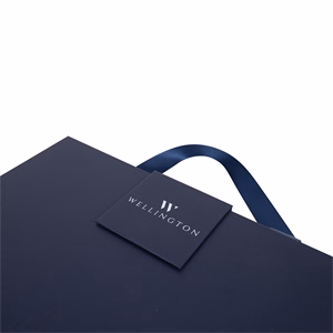 Golyóstoll WELLINGTON Oxford jegyzettömbbel díszdobozban kék