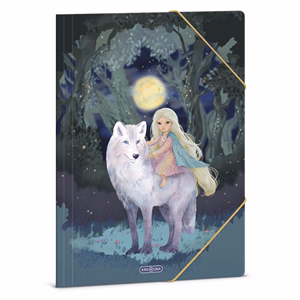 Gumis mappa ARS UNA A/4 Northern Lights