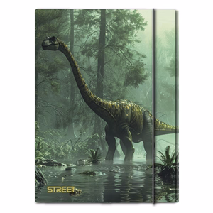 Gumis mappa STREET A/4 1 cm gerincvastag Dino