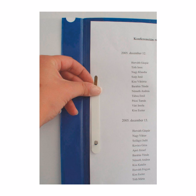 Gyorsfűző ESSELTE Standard Vivida műanyag zöld