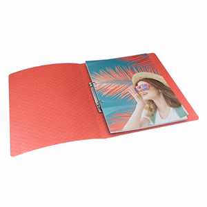 Gyűrűskönyv ESSELTE Colour Breeze A/4 25 mm 2 gyűrűs PP korall