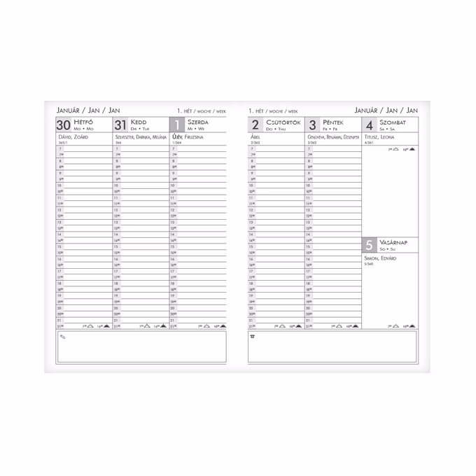 Határidőnapló ALISCA Rebel varrott A/4 heti fehér lapos szürke 2026.