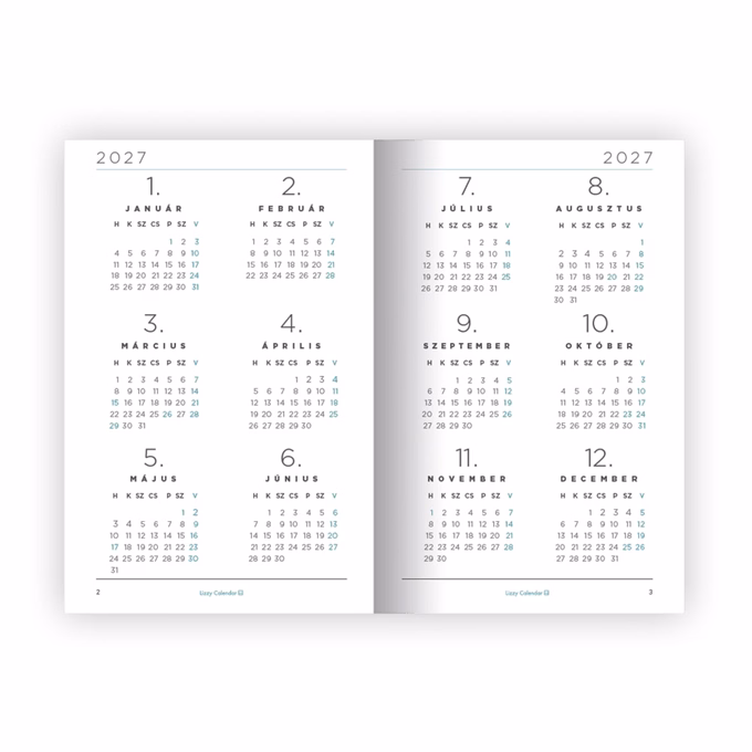 Határidőnapló LIZZYCALENDAR A/6 heti tűzött Amazeballs 2027