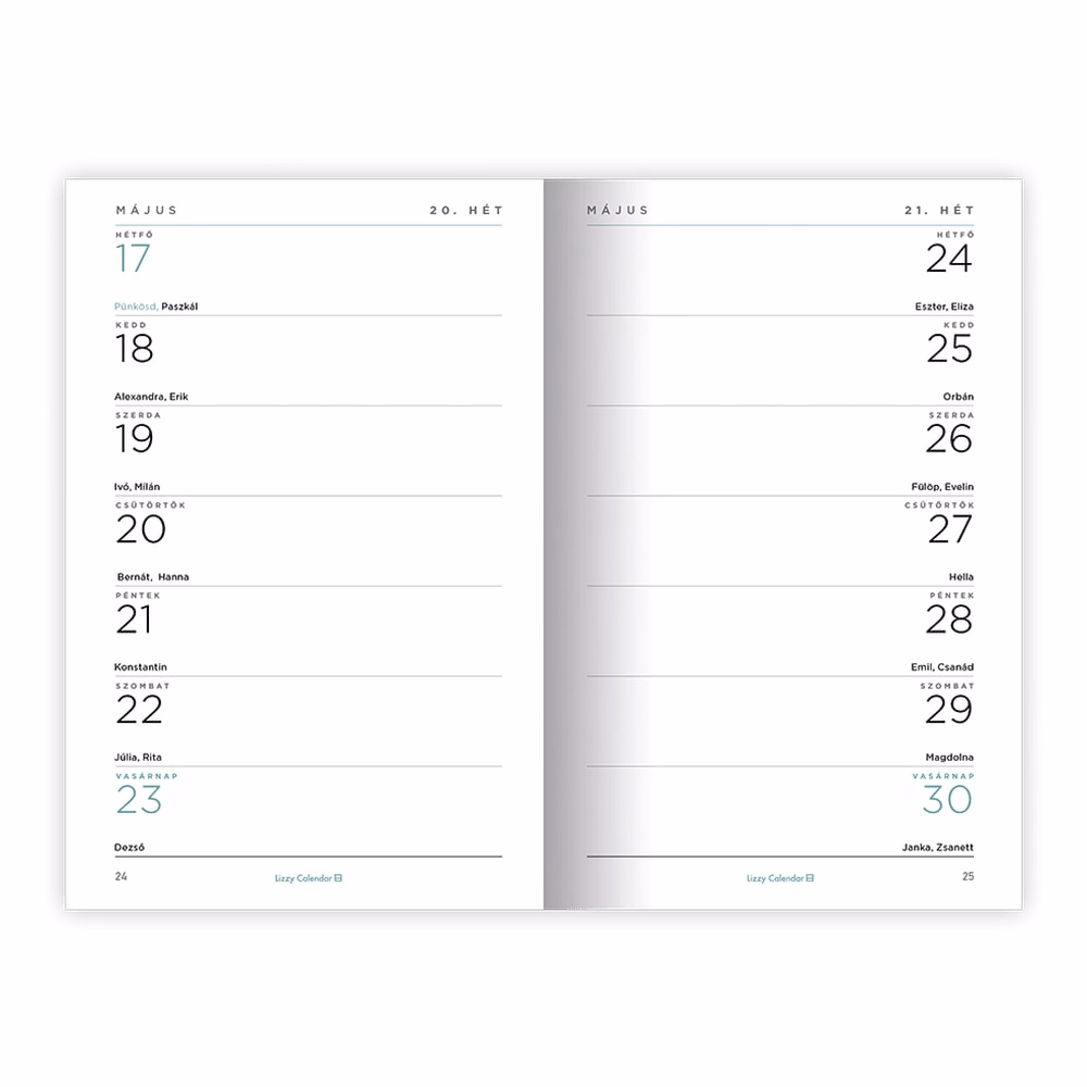 Határidőnapló LIZZYCALENDAR A/6 heti tűzött Great 2027