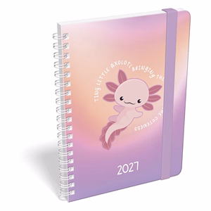 Határidőnapló LIZZYCALENDAR B/6 heti spirálozott gumis 2027