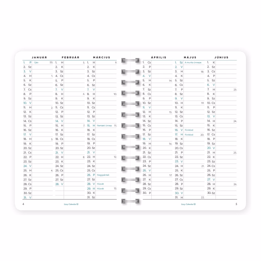 Határidőnapló LIZZYCALENDAR B/6 heti spirálozott gumis Grinning 2027