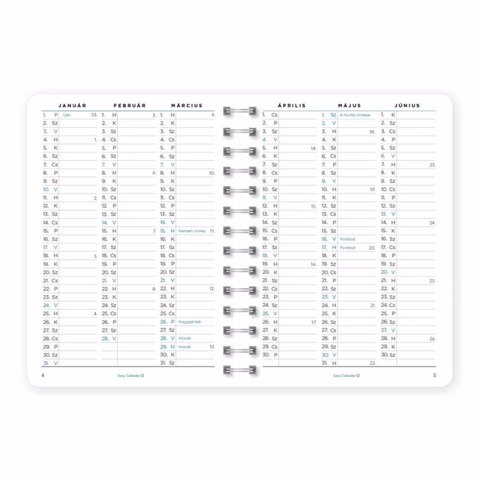 Határidőnapló LIZZYCALENDAR B/6 heti spirálozott gumis Grinning 2027