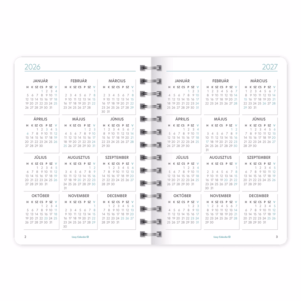 Határidőnapló LIZZY CARD B/6 heti spirálozott gumis Love wins 2026.