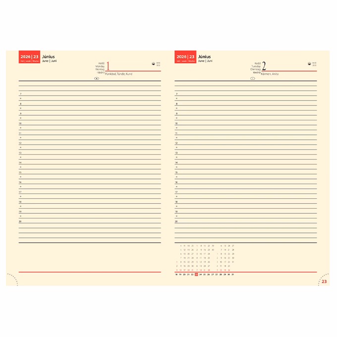 Határidőnapló REALSYSTEM Bolero B/5 napi sárga lapos fekete 2026. Határidőnapló REALSYSTEM Bolero B/5 napi sárga lapos fekete 2026.