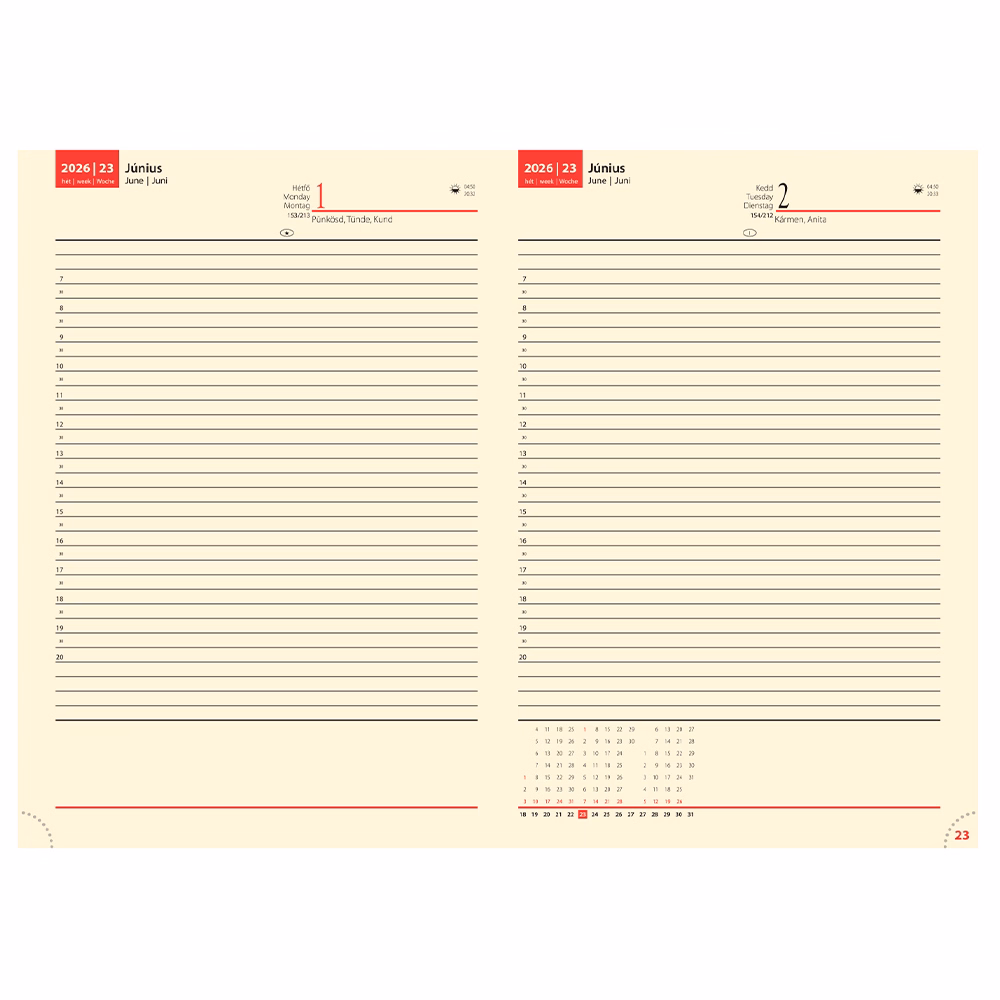 Határidőnapló REALSYSTEM Bolero B/5 napi sárga lapos fekete 2026. Határidőnapló REALSYSTEM Bolero B/5 napi sárga lapos fekete 2026.