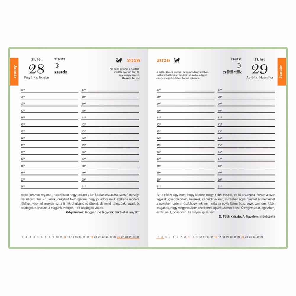 Határidőnapló REALSYSTEM Librobello B/6 napi fehér lapos padlizsán 2026.