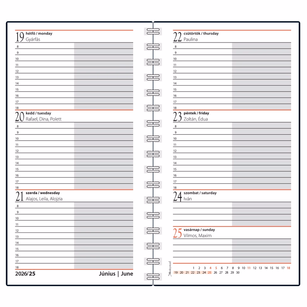 Határidőnapló REALSYSTEM SP2 spirál A/6 heti fehér lapos Ernyők 2026.