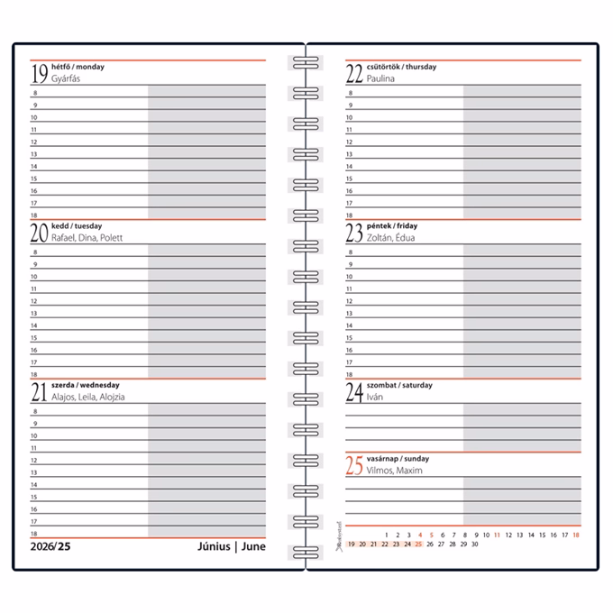 Határidőnapló REALSYSTEM SP2 spirál A/6 heti fehér lapos absztrakt  2026.