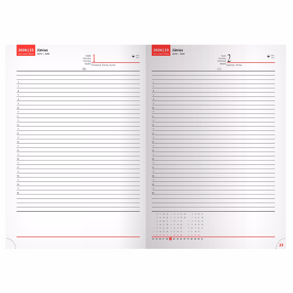 Határidőnapló REALSYSTEM Standard B/5 napi fehér lapos bordó 2026.