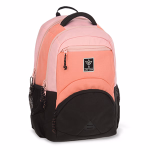 Hátizsák ARS UNA ergonomikus 27L Rose-Black