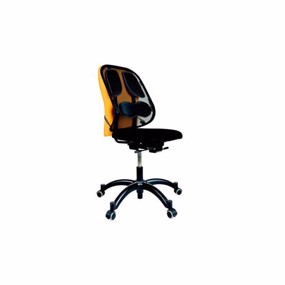 Háttámasz FELLOWES Professional Series Mesh
