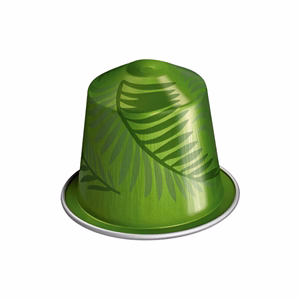 Kávékapszula NESPRESSO Original World Explorations Rio De Janeiro Espresso 10 darabos