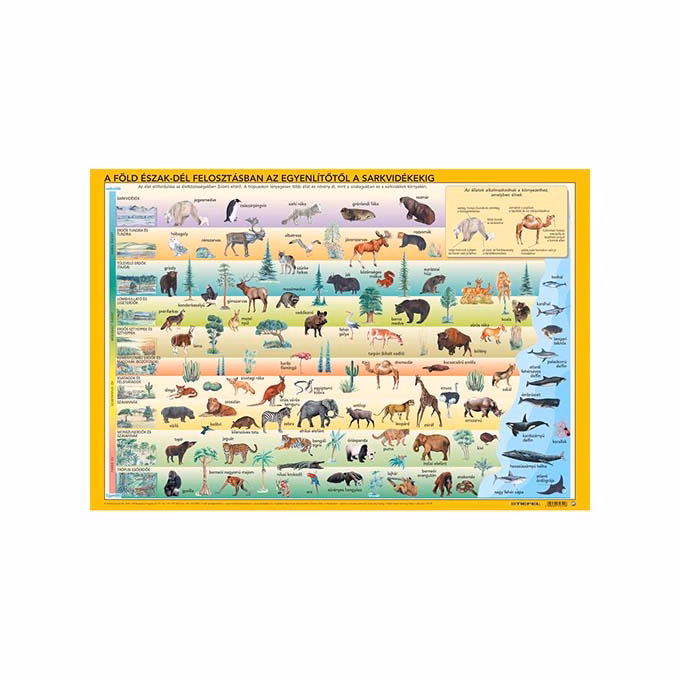 Könyökalátét STIEFEL Világ állatai élőhelyekkel