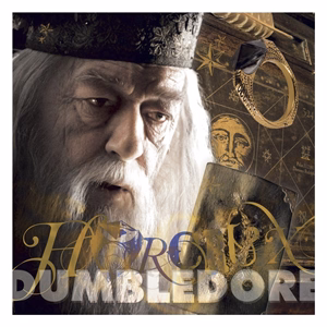 Lemeznaptár REALSYSTEM 300x300mm Harry Potter 2027