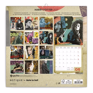 Lemeznaptár REALSYSTEM 300x300mm Harry Potter 2027