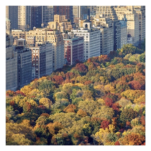 Lemeznaptár REALSYSTEM 300x300mm New York 2027