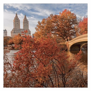 Lemeznaptár REALSYSTEM 300x300mm New York 2027