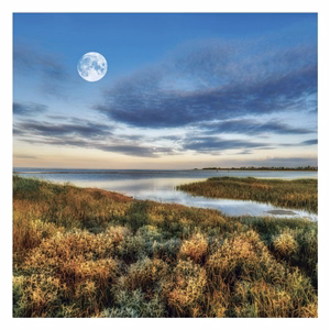 Lemeznaptár REALSYSTEM 300x300mm The Moon 2027