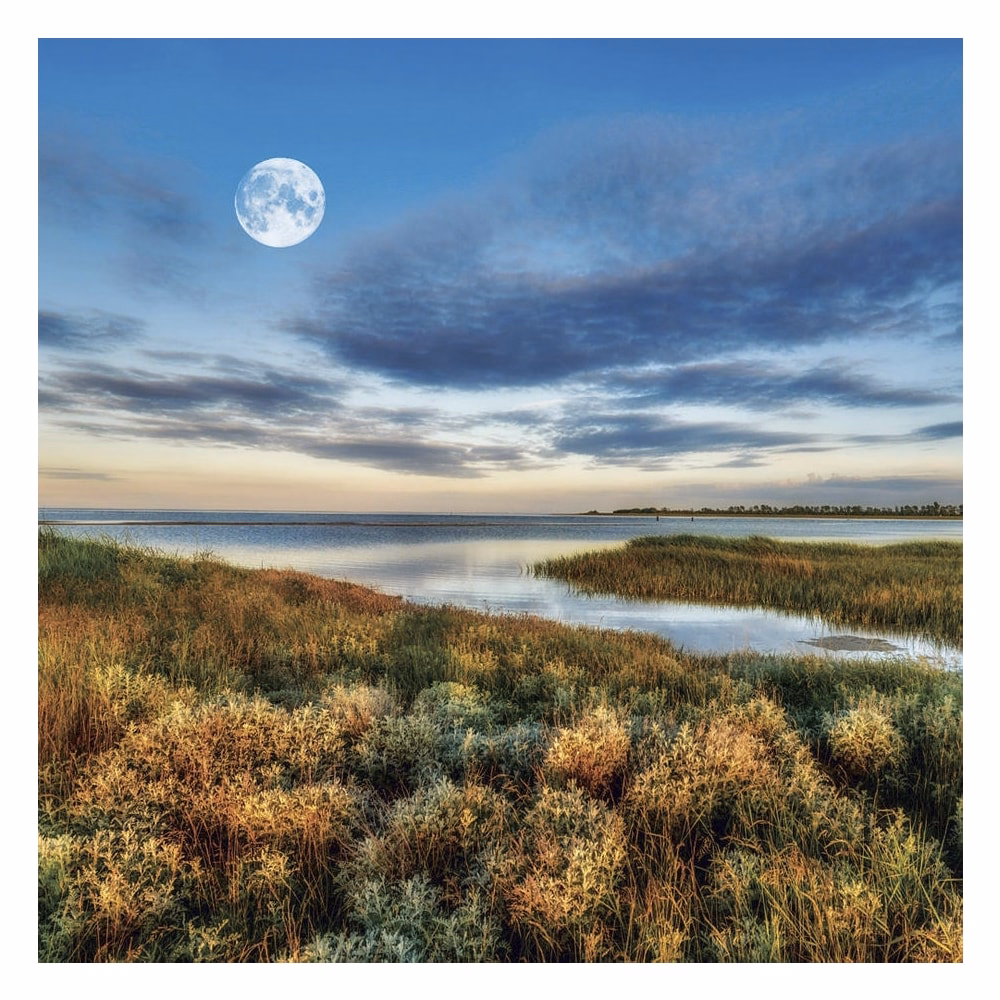 Lemeznaptár REALSYSTEM 300x300mm The Moon 2027