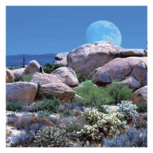 Lemeznaptár REALSYSTEM 300x300mm The Moon 2027