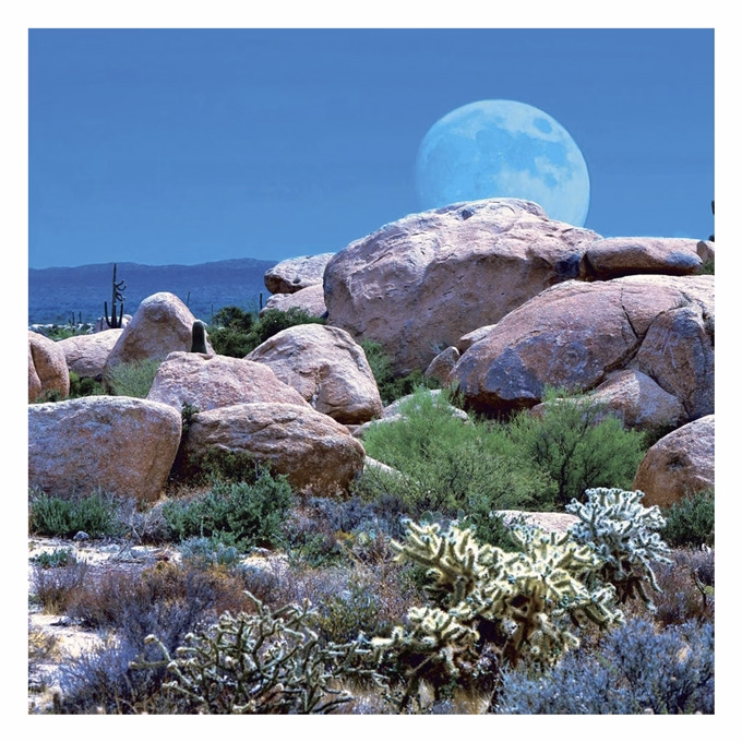 Lemeznaptár REALSYSTEM 300x300mm The Moon 2027
