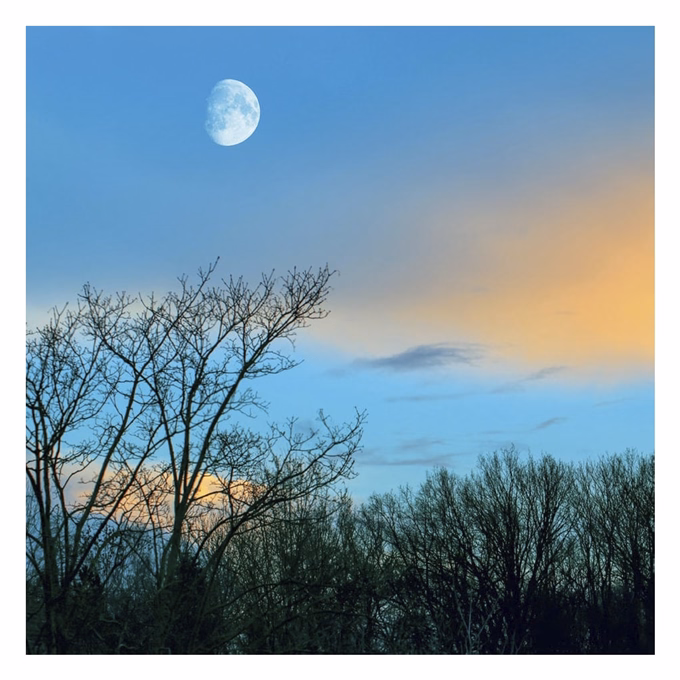 Lemeznaptár REALSYSTEM 300x300mm The Moon 2027