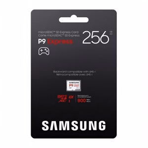 Memóriakártya SAMSUNG microSDXC P9 Express 256 gb