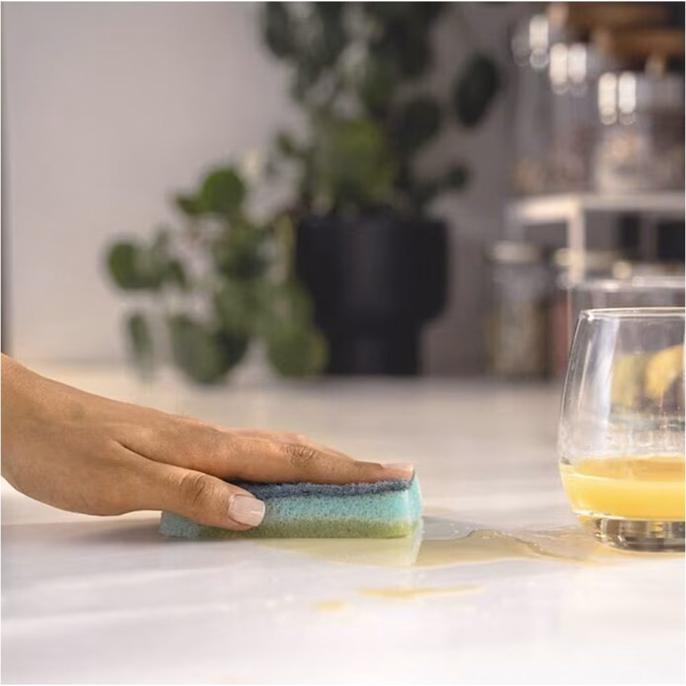 Mosogatószivacs VILEDA Pro Clean 2+1