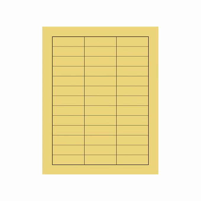 Nyomtatvány fizikoterápia kezelőlap PÁTRIA 118x150mm