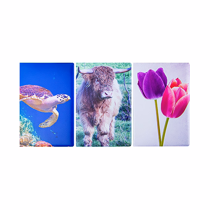 Okmánytartó Személyi Igazolvány felirattal mintás álló 4 lapos