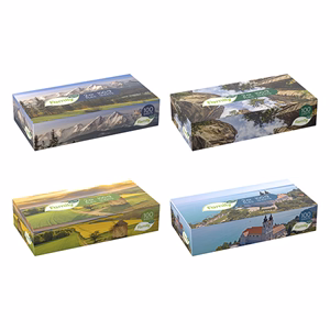 Papírzsebkendő TENTO Flat 2 rétegű 100 darabos dobozos