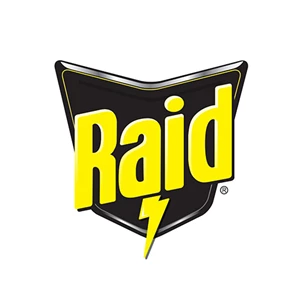 RAID