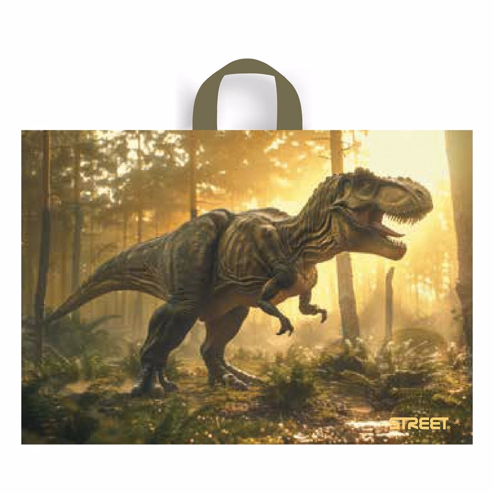 Rajztáblatartó STREET 51x37 cm Dino