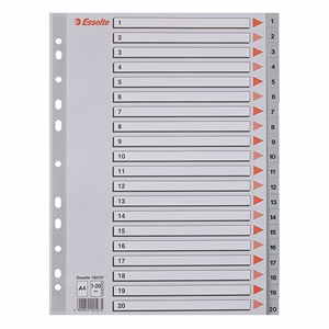 Regiszter ESSELTE A/4 műanyag 1-20 szürke