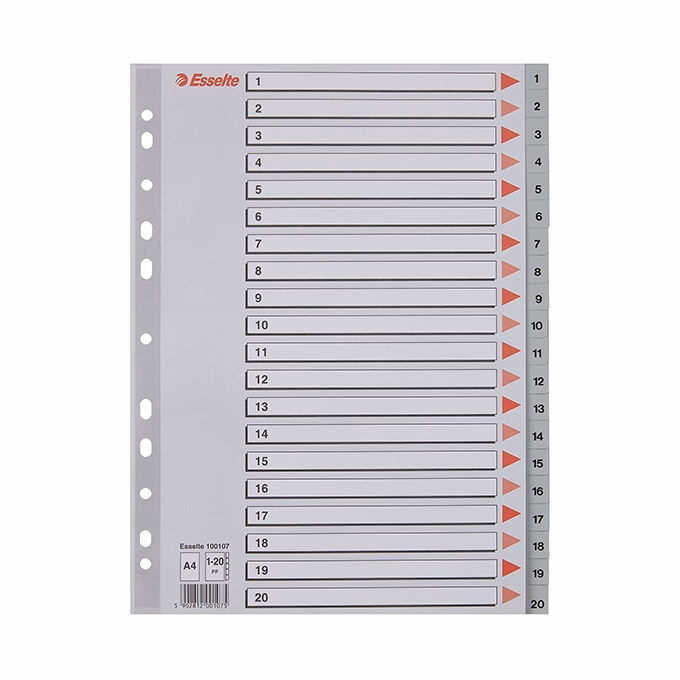 Regiszter ESSELTE A/4 műanyag 1-20 szürke