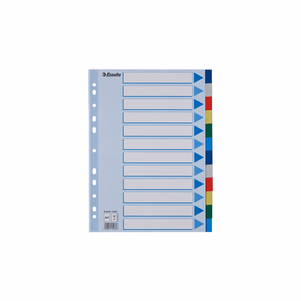 Regiszter ESSELTE A/4 műanyag 12 részes