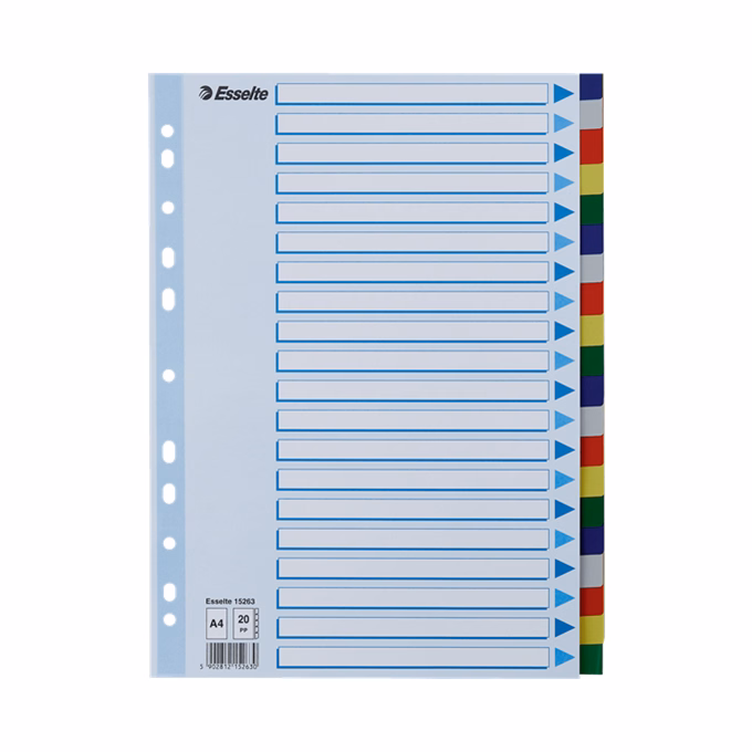 Regiszter ESSELTE A/4 műanyag 20 részes