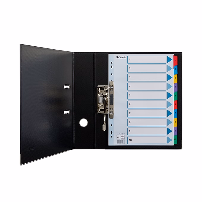 Regiszter ESSELTE Mylar A/4 laminált karton 1-10