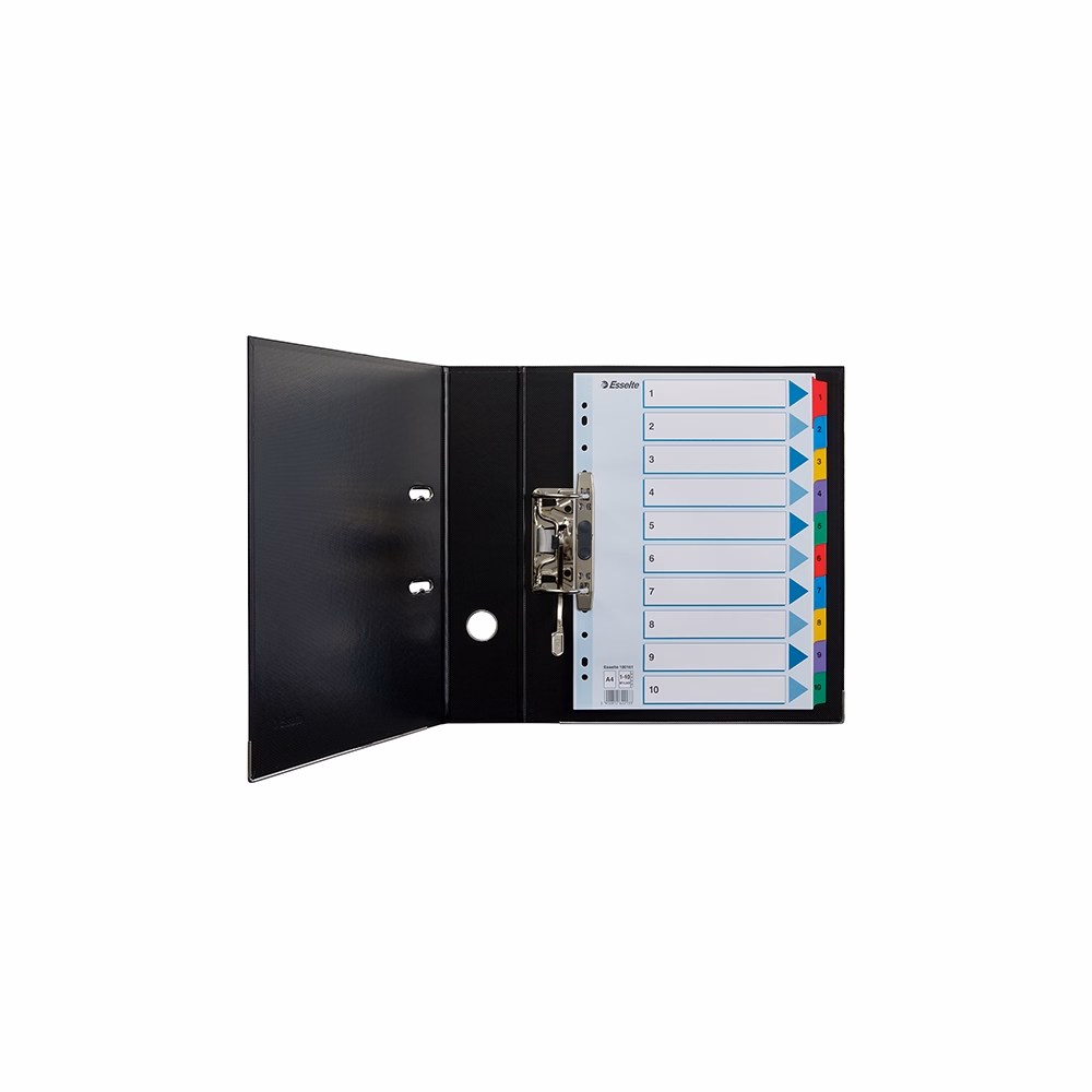 Regiszter ESSELTE Mylar A/4 laminált karton 1-10