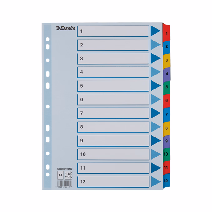 Regiszter ESSELTE Mylar A/4 laminált karton 1-12
