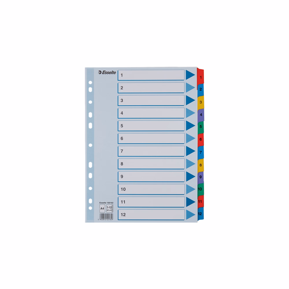 Regiszter ESSELTE Mylar A/4 laminált karton 1-12