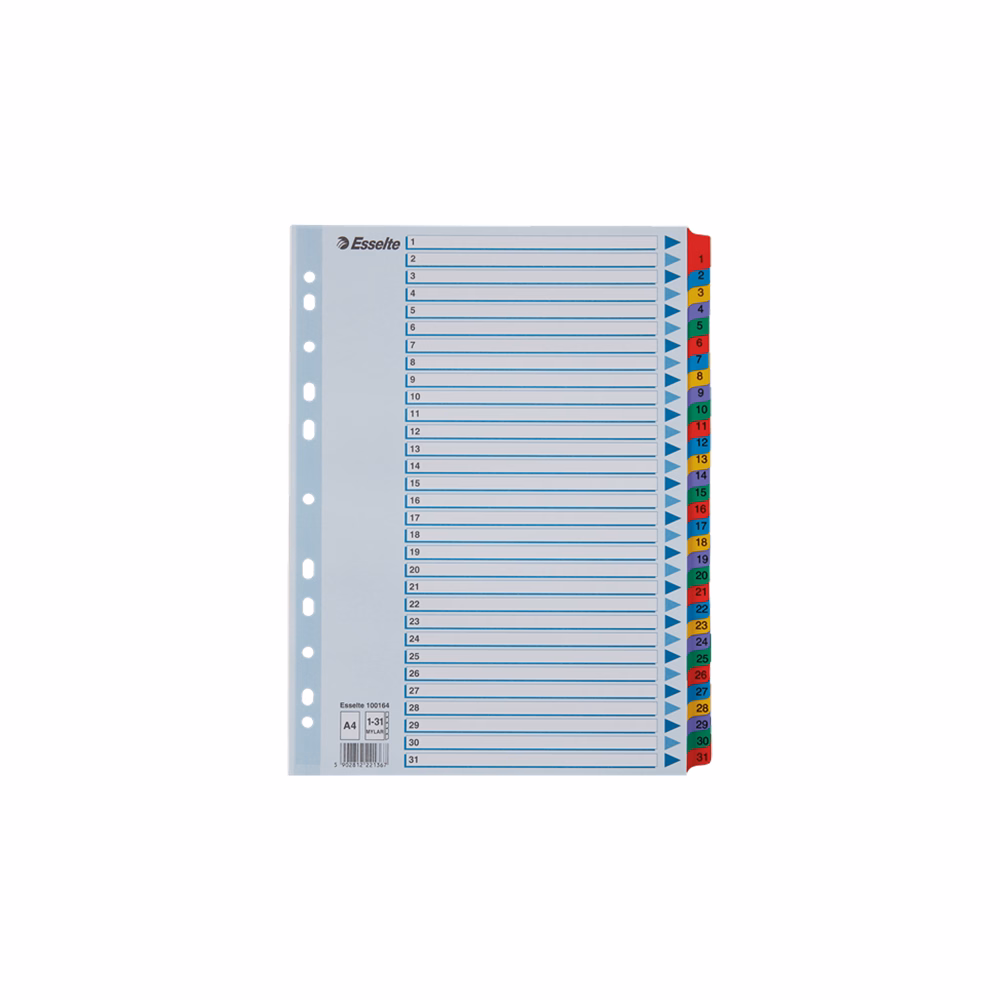 Regiszter ESSELTE Mylar A/4 laminált karton 1-31