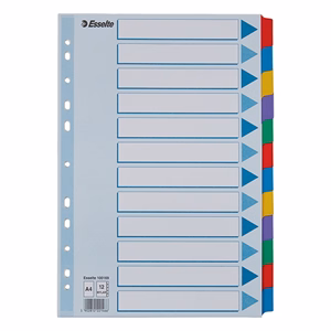 Regiszter ESSELTE Mylar A/4 laminált karton 12 részes Regiszter ESSELTE Mylar A/4 laminált karton 12 részes