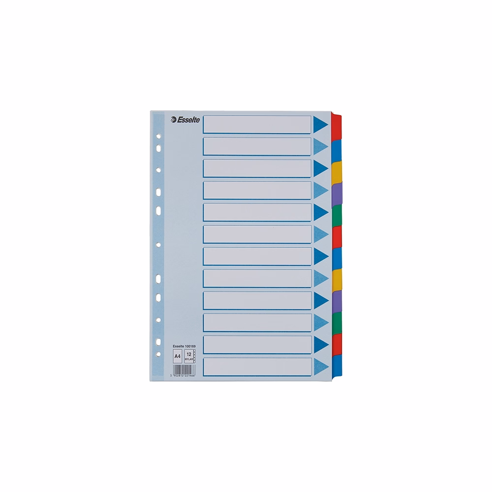 Regiszter ESSELTE Mylar A/4 laminált karton 12 részes Regiszter ESSELTE Mylar A/4 laminált karton 12 részes