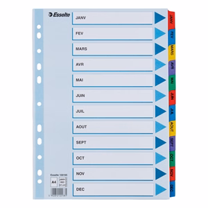 Regiszter ESSELTE Mylar A/4 laminált karton Jan-Dec